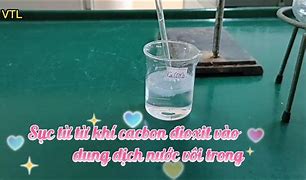 Co2 Có Làm Đục Nước Vôi Trong Không