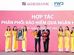 Công Ty Tnhh Phát Triển Nông Nghiệp Việt Nam