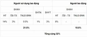 Doanh Nghiệp Chịu Bao Nhiêu Phần Trăm Bảo Hiểm