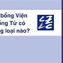 Học Bổng Cis 1 Năm Tiếng 2025