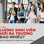 Lương Sinh Viên Mới Ra Trường Ở Canada