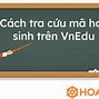 Tra Cứu Sinh Viên Neu